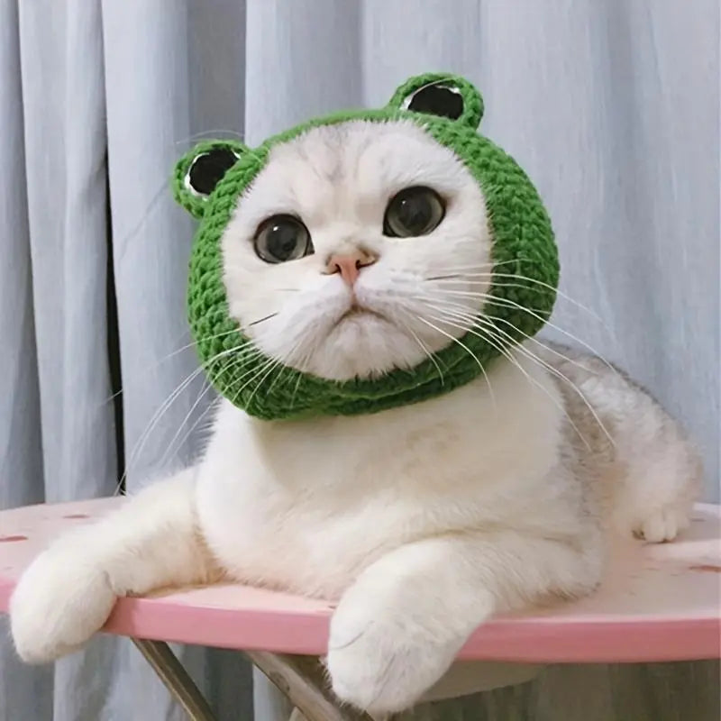 Cute Frog Design Hat, 1 Count Pet Beanies, Pet Costume Accessory for Cats & Dogs