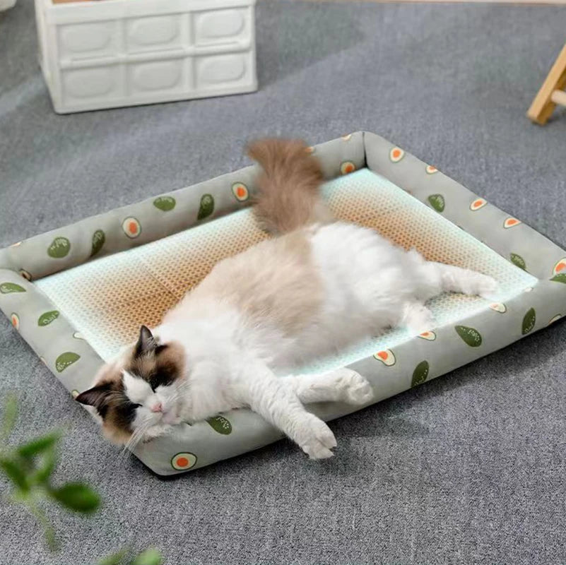 Professional Title: "Breathable Lightweight Rattan Cat Bed with Cooling Mat for Small Dogs"