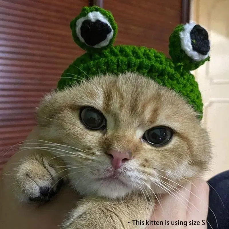 Cute Frog Design Hat, 1 Count Pet Beanies, Pet Costume Accessory for Cats & Dogs