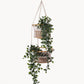 Jhuri Double Hanging Basket