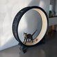 Pet cat treadmill, cat exercise fitness equipment, cat large roller treadmill