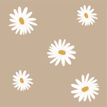 Daisies