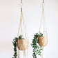 Plant Hanger - Fiora