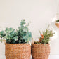 Savar Basket with White Handle