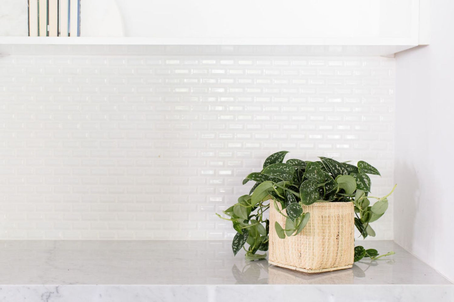 Satin Pothos Plant + Basket