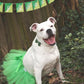 Green Christmas Dog Tutu Skirt | XS-XXXL