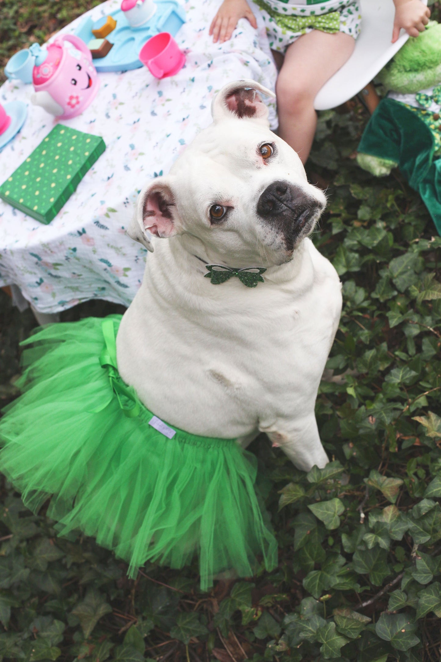 Green Christmas Dog Tutu Skirt | XS-XXXL