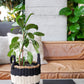 Ula Stripe Basket - Black